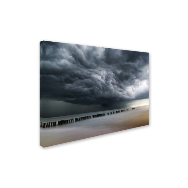 Mindaugas Zarys 'Clouds' Canvas Art,18x24